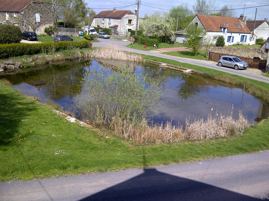 Gite Du Grand Morin Villeneuve-la-Lionne Extérieur photo